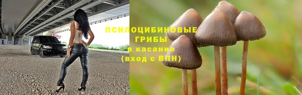СК Алексеевка