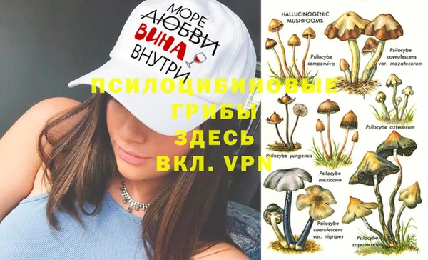 СК Алексеевка