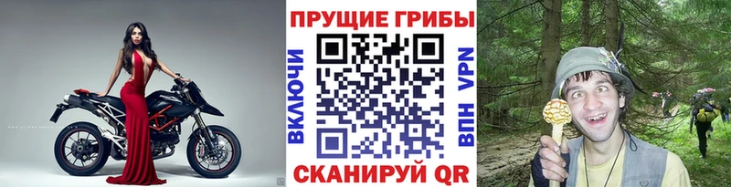 Галлюциногенные грибы мухоморы  продажа наркотиков  Елабуга 